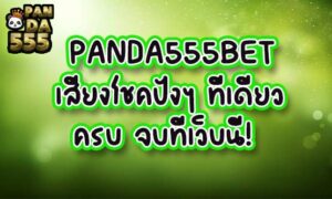 PANDA555BET